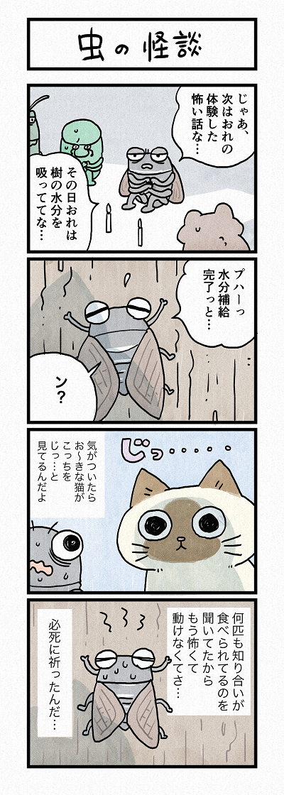 猫のおふくちゃん│猫ブログ│フェリシモ猫部